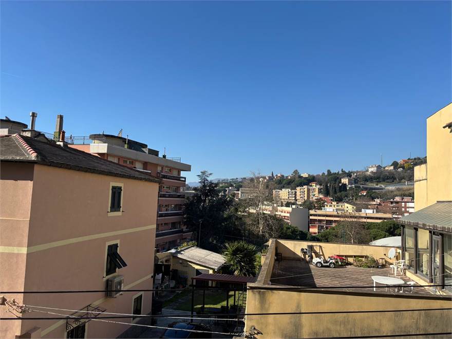 vista