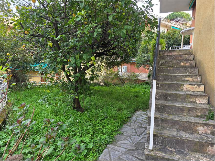 giardino