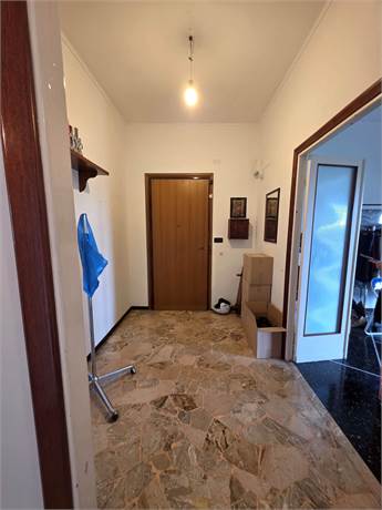 ingresso
