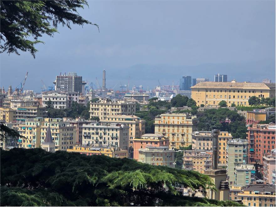 vista 1