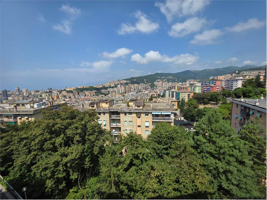 vista 2