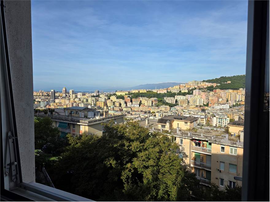 vista
