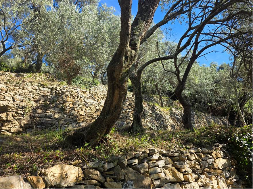 terreno, particolare muretti a secco
