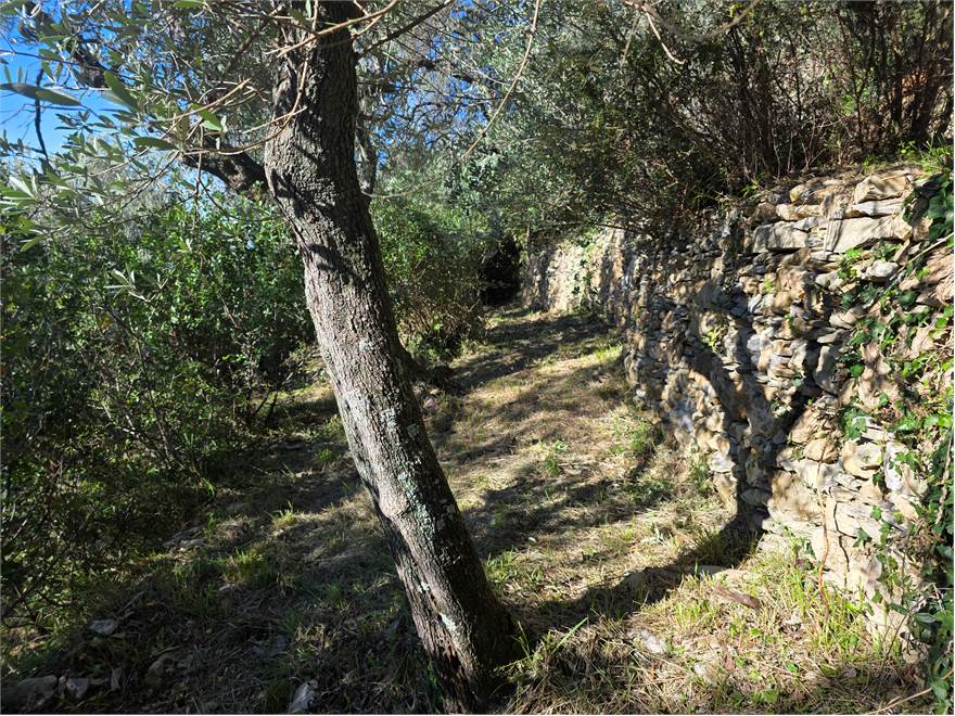 terreno, particolare muretti