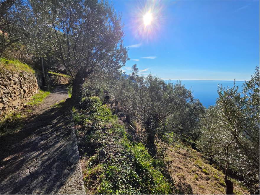 confine inferiore carrabile quad 