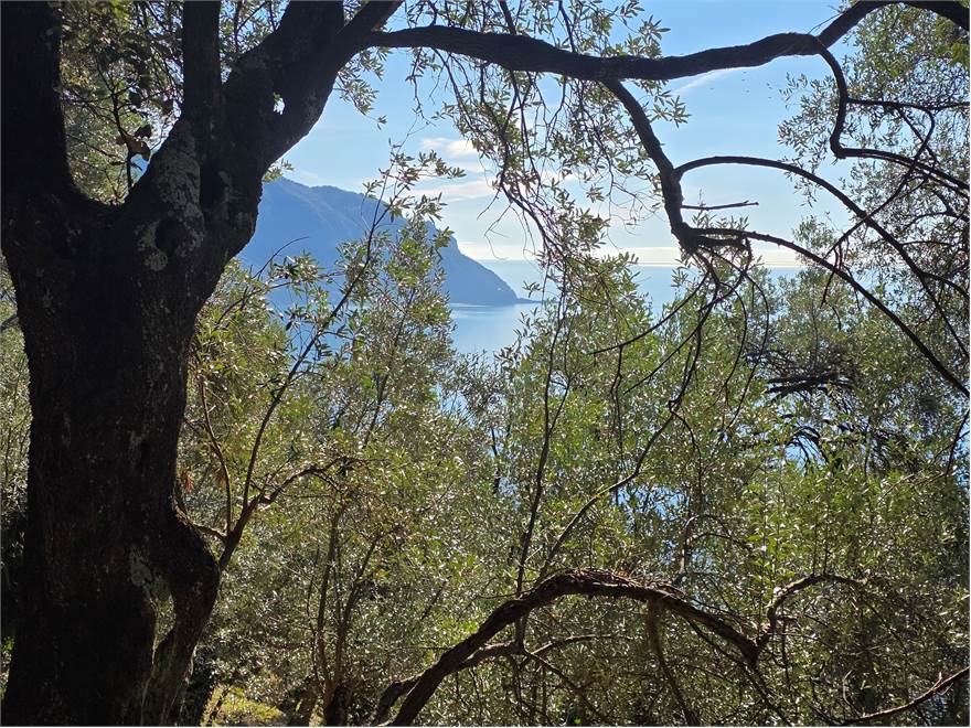 terreno, scorcio promontorio
