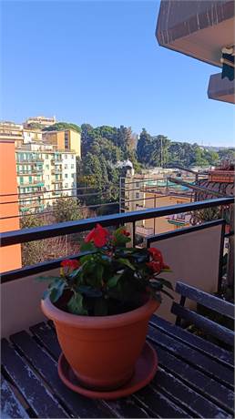 vista balcone 2 (cucina)