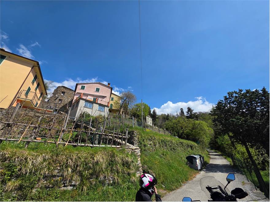 contesto
