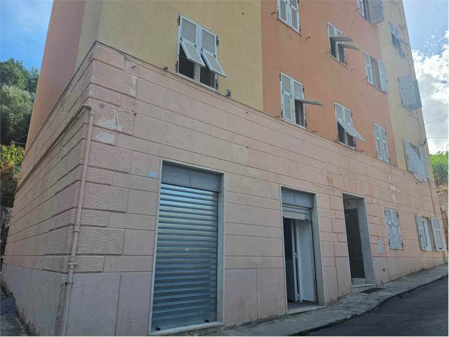 due vetrine in caseggiato ristrutturato