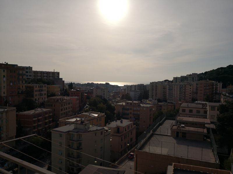 vista