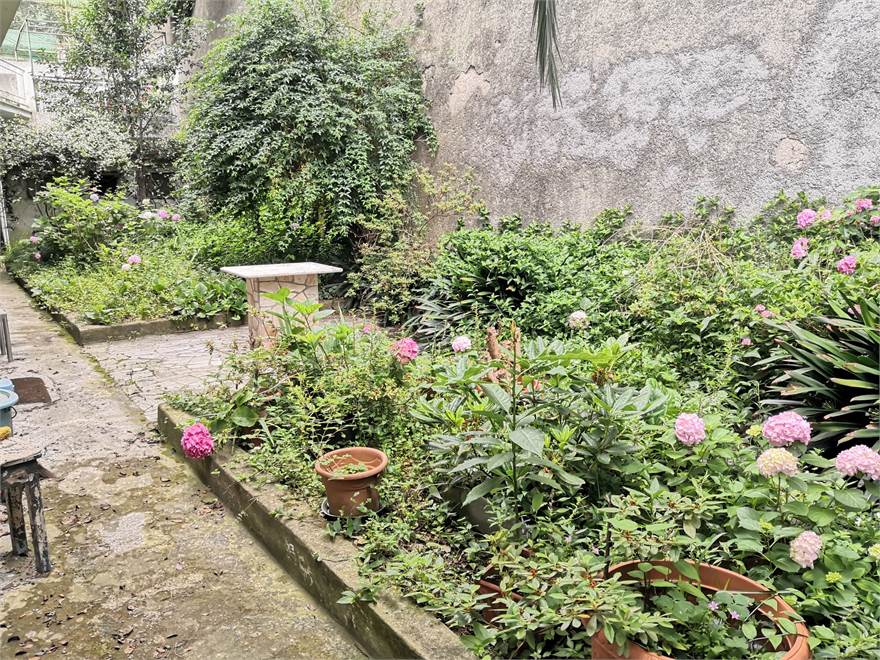 giardino